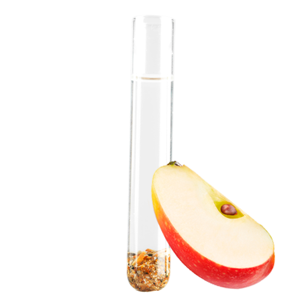 Complex that protects against contamination made up of extracts of ginseng, apple, peach, wheat and barley. It helps to increase the synthesis of ATP (energy for cells) and provides an antioxidant action that prevents damage to the skin.